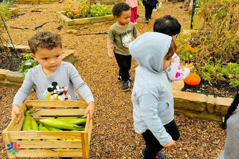 The Importance Of Environment In Early Childhood Education